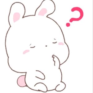 Stuffed Animal Mystery Box